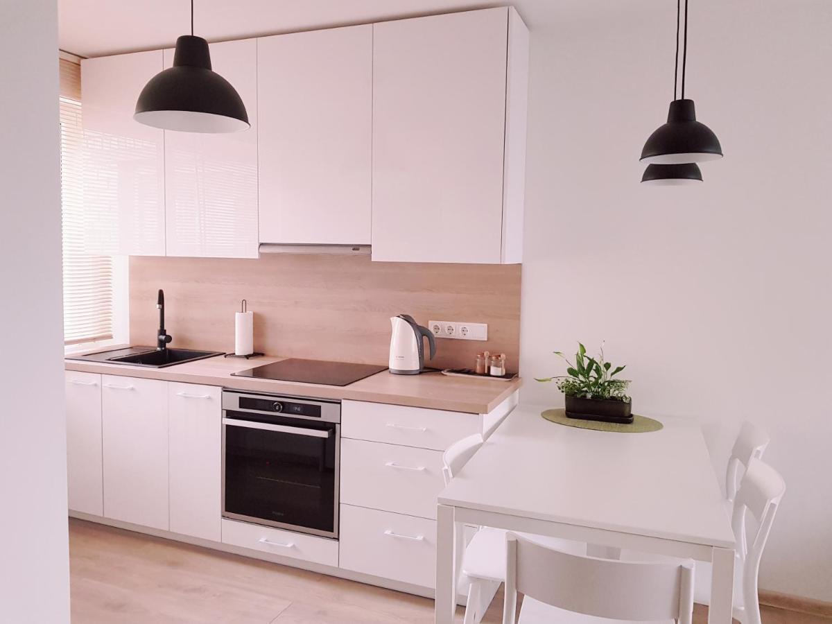New City Center Apartments Druskininkai Exterior photo